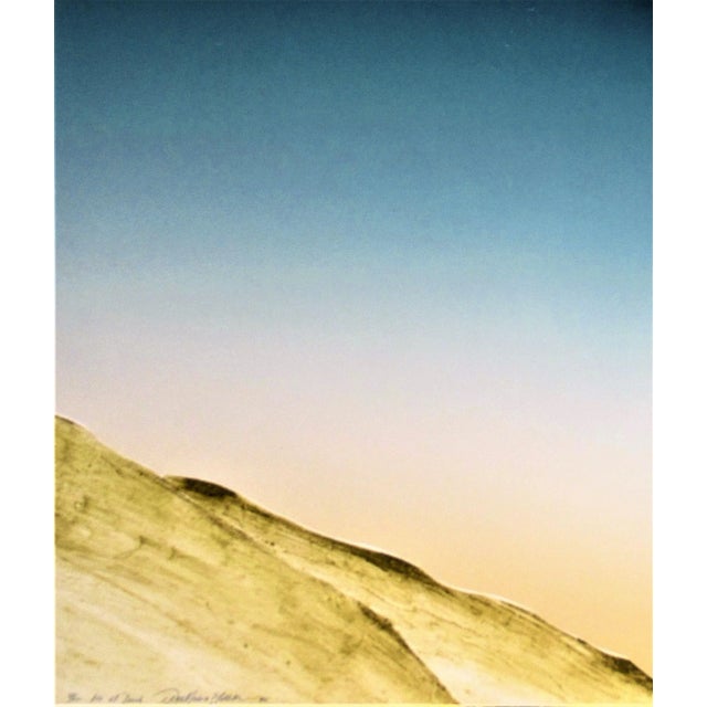 Realism Daniel Joshua Goldstein, Iris at Dusk, 1980 For Sale - Image 3 of 5