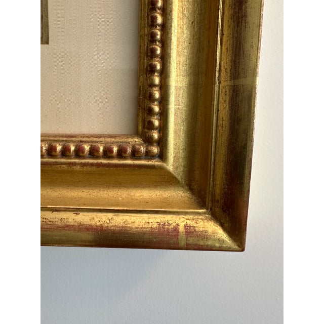 1768 French Botanical Print by Duhamel Du Monceau, Made From Original Hand Colored Copper Engraving. For Sale In New York - Image 6 of 10