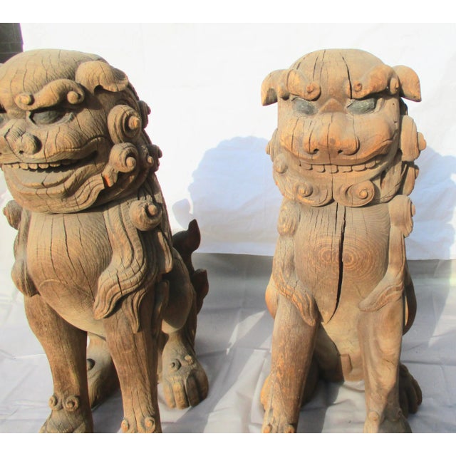 Miji Japanese Cedar Carved Buddhist Shi-Shi - a Pair For Sale - Image 11 of 12