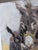 20th Century, Portrait of a Donkey in Maternity, 1980s, Oil Painting on Panel For Sale - Image 6 of 9