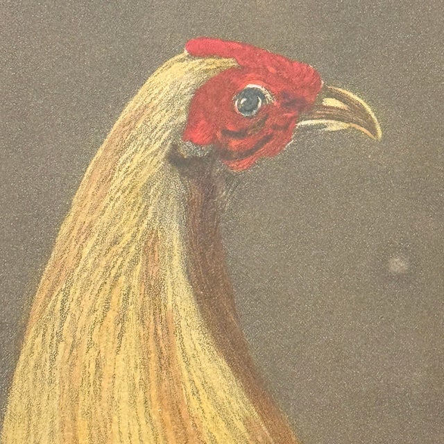 Printmaking Materials Framed Pair of 19th Century 'War' and 'Peace' Hand-Tinted Lithographs For Sale - Image 7 of 13