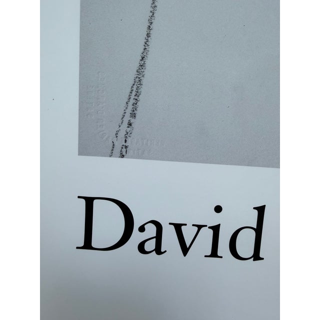 David Hockney (1937-2026), Black and White Dogs Exhibition Poster, 1994, Copyright David Hockney, Printed in the Uk For Sale - Image 14 of 18