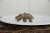 African Vintage African Bronze Hippo For Sale - Image 3 of 7