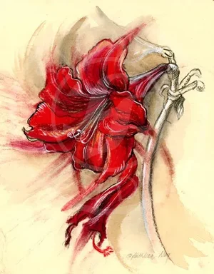"Amaryllis 1" Botanical Floral Drawing on Handmade Paper