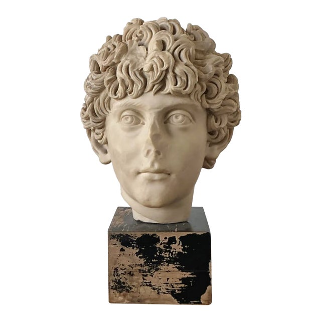 Vintage Boho Cast Marble Bust of Marcus Aurelius For Sale