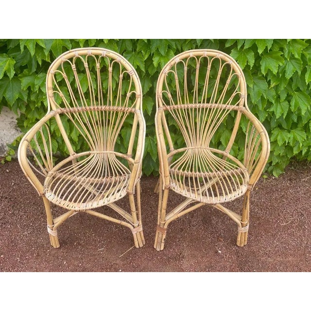 Pair of rattan armchairs from the 1950s from the Netherlands