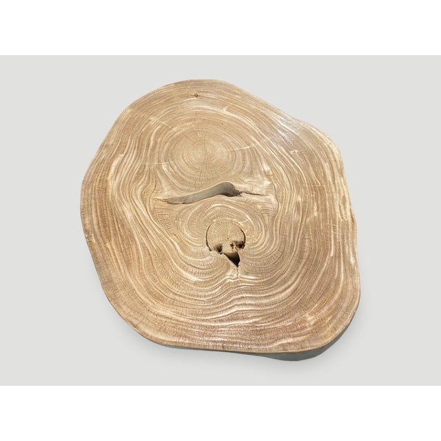 Andrianna Shamaris Amorphous Single Slab Mid-Century Modern Style Coffee Table For Sale - Image 17 of 18