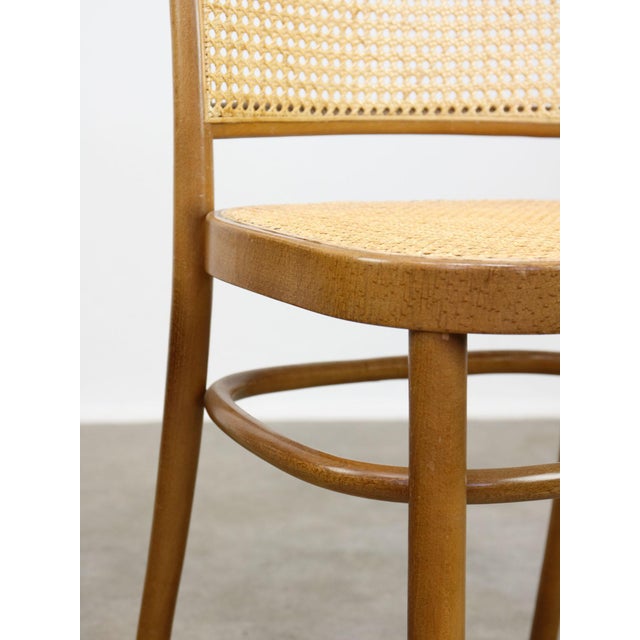 No. 811 Bentwood Chairs attributed to Michael Thonet, Set of 2 For Sale - Image 12 of 18