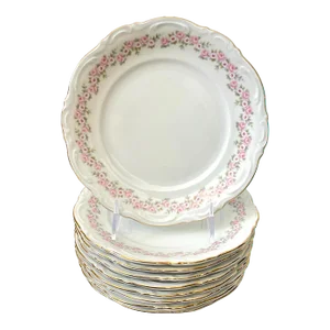 Mitterteich Bavaria Lady Beatrice Set of 9 Salad or Dessert Plates 7 7/8"