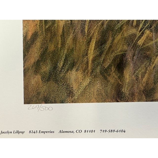 1990s Jocelyn Lillpop Russell Boundary Line Bison Buffalo Yellowstone National Park Signed Numbered American Print For Sale - Image 9 of 11