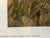 1990s Jocelyn Lillpop Russell Boundary Line Bison Buffalo Yellowstone National Park Signed Numbered American Print For Sale - Image 9 of 11