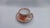 Indian Painting Coral Red Demitasse Mokka Cup and Saucer Duo from Meissen Porcelain, 1950s For Sale - Image 6 of 11