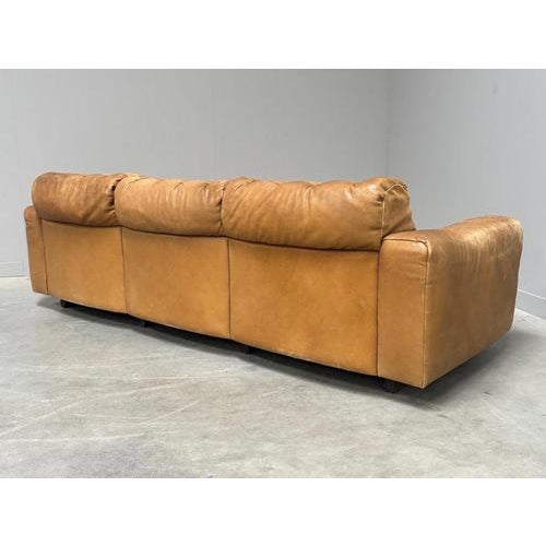 Vintage DS40 Sofa by Robert Haussmann for de Sede, 1970s For Sale - Image 10 of 16