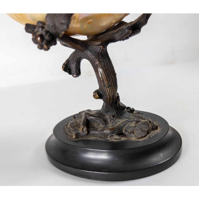 19th Century Continental European French or German Bronze With Turbo Shell, Kunstkammer Object For Sale - Image 9 of 14