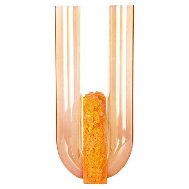 Autumn Cochlea of ​​the Liberation Seasons Edition Vase by Coki Barbieri For Sale