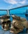 A impactful Mexican artisan design of a chair in the form of a skull, great indoors or outdoor. It’s a waterproof...