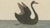 Antique Greater Rhea and Black Swan Engraving from Bertuch, 1798 For Sale - Image 6 of 9