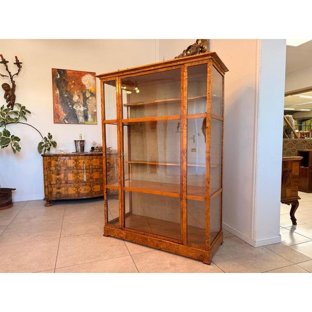 Biedermeier Glass-Fronted Poplar Display Cabinet For Sale - Image 17 of 17