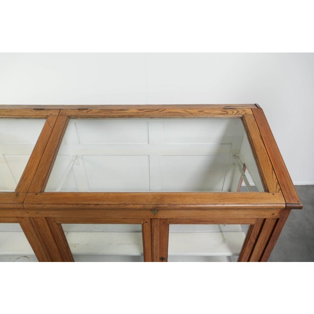 Glass Large Vintage Museum Display Cabinet For Sale - Image 7 of 13