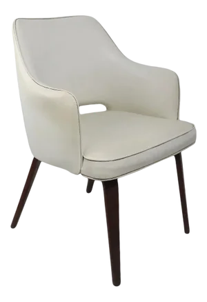 Mid Century Lounge Armchair by Brody After Thonet