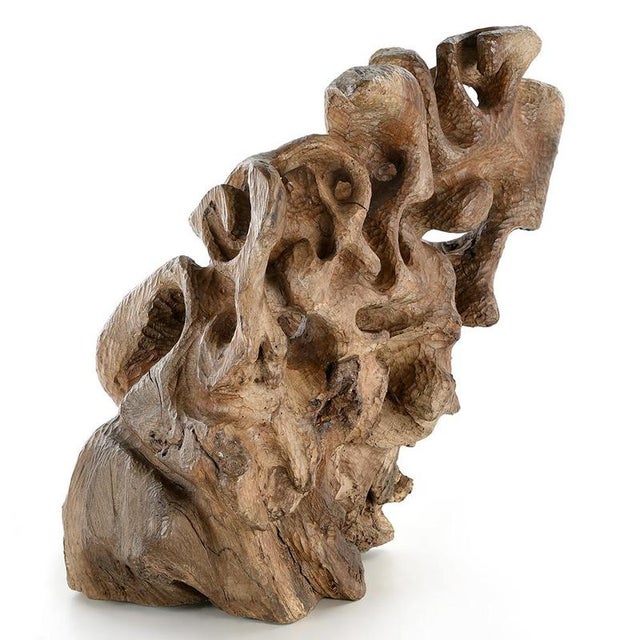 Brown Carved Teak Root Sculpture For Sale - Image 8 of 8