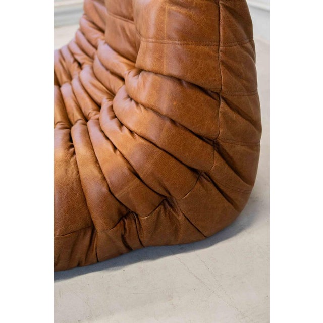 Togo Chaise Lounge in Pine Leather by Michel Ducaroy for Ligne Roset, 1974 For Sale - Image 14 of 18