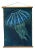 Vintage Sealife Print From Natural Curiosities For Sale