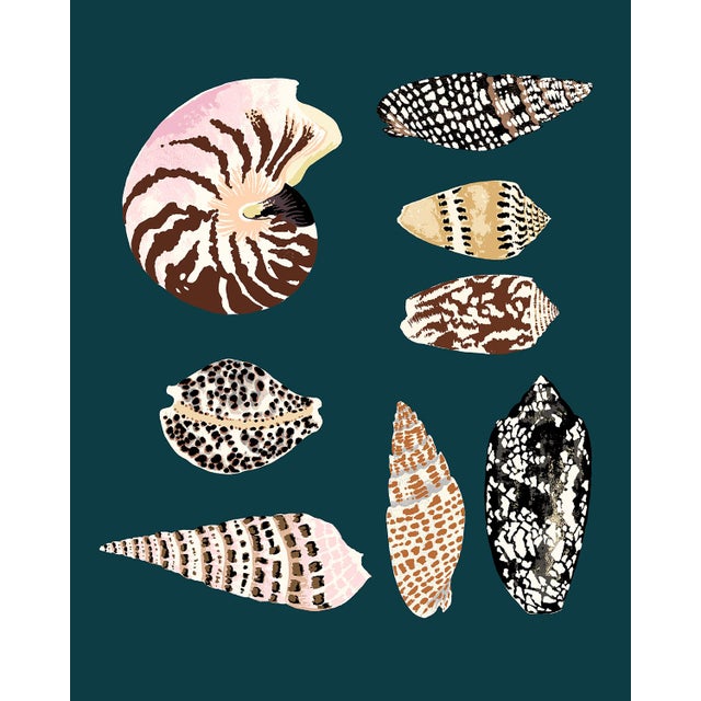 "Fiji Shells in Teal" Contemporary Giclee Print by Sarah Gordon For Sale