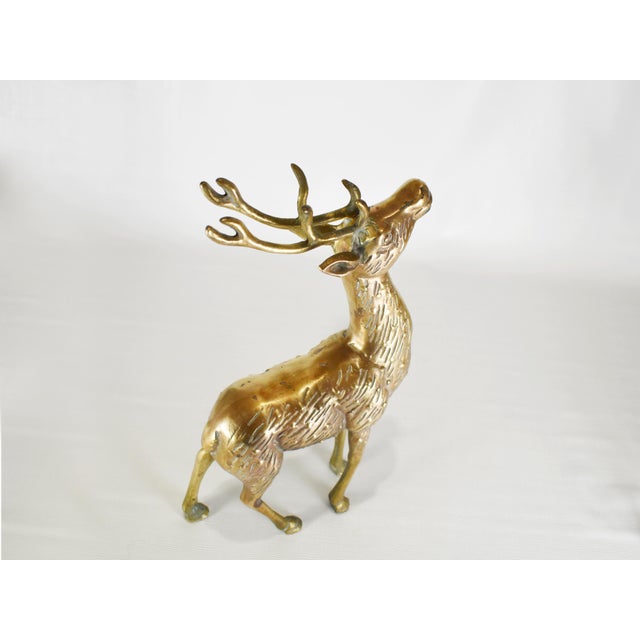 Solid Brass Buck & Doe Deer Animal Figurines a Pair Chairish
