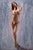 Gabrellia #3 S~Curve by Dave Seeley | Oil on Canvas on Board Nude Female Figure in S-Curve Pose For Sale