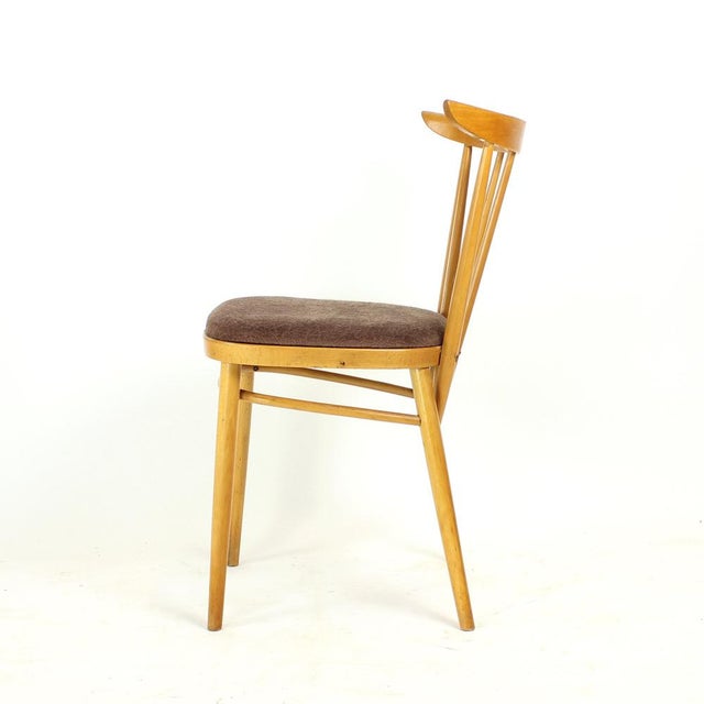 1960s Dining Chairs from Tatra, Former Czechoslovakia, 1960s, Set of 4 For Sale - Image 5 of 11