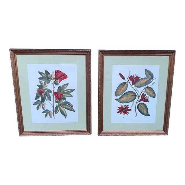 Set of Museum Mid Summer Floral Prints- Matted and Framed For Sale