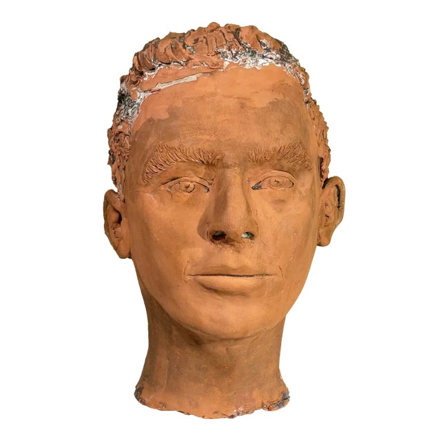 Terra Cotta Head Bust of a Handsome Man For Sale