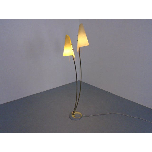 Fiberglass & Brass Floor Lamp by Carl Auböck for Dame & Co. Neheim, Germany, 1950s For Sale - Image 17 of 18