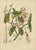Berthe Hoola van Nooten, Poison Arrow Vine, 1880, Chromolithograph For Sale - Image 3 of 9