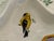 French 1940’s Limoges, France Divided Porcelain Dish Trimeed in 24k Gold For Sale - Image 3 of 7