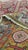 Antique Indian Agra Carpet, Indian Rugs, Oriental Rugs, Red, Gold, 5'10" x 9'8" For Sale In New York - Image 6 of 14