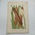 Original 19th-century French botanical lithograph by renowned botanist **Henri Ernest Baillon**, published in Paris...