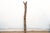 Brown Escarpment Totem, 81" Tall African Ladder For Sale - Image 8 of 10