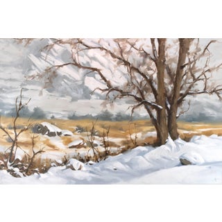Winter Veil by Judd Mercer | Oil Painting of a snowy landscape with bare trees and rocks For Sale