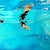 Maude OVIZE Aquatic Sensation, 2025 Screen print on Fabriano fine art paper Ref: Tintoretto Neve 240g Signed and numbered...