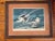 Realism 1960s After John James Audubon Octavo Plate 262 Reproduction Print, Framed For Sale - Image 3 of 13