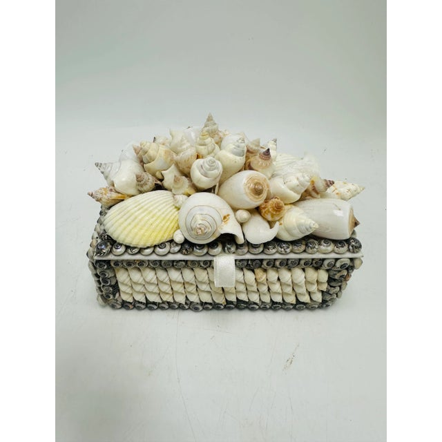 Vintage Shell Box For Sale - Image 9 of 9