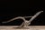 Rustic Primitive Salesman Sample Plow For Sale - Image 3 of 8