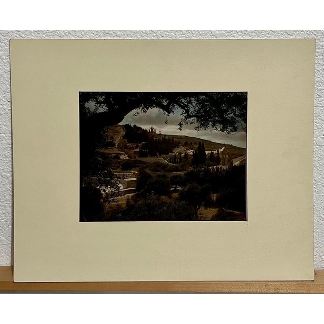 Early 20th Century American Colony Jerusalem, Vintage Large Albumen Photo Jerusalem Photograph American Colony Mt Zion Trees, 1890-1920 For Sale - Image 5 of 5