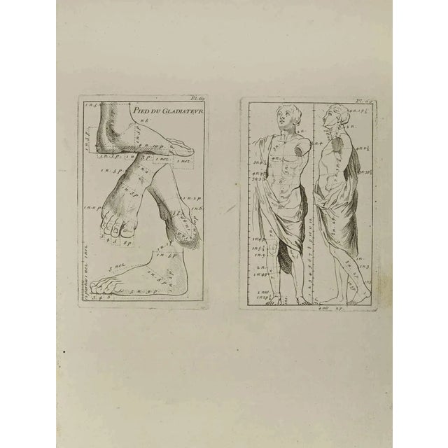 Jean François Poletnich, Anatomy Studies, Etching, 18th Century For Sale