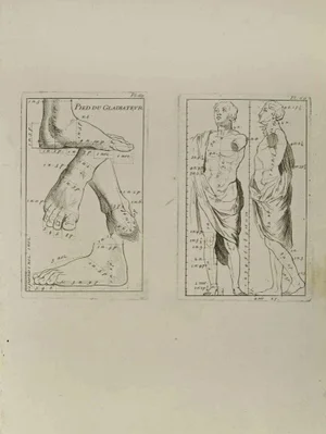 Jean François Poletnich, Anatomy Studies, Etching, 18th Century