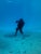 Photography Brian Skerry First Encounter Southern Right Whale Photograph, Signed For Sale - Image 7 of 12