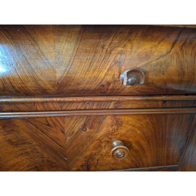Chest of Drawers in Walnut, 1890 For Sale - Image 16 of 18