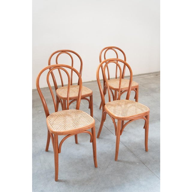 Brown Chair in Curved Beech Wood and Straw Seat, 1990s For Sale - Image 8 of 17